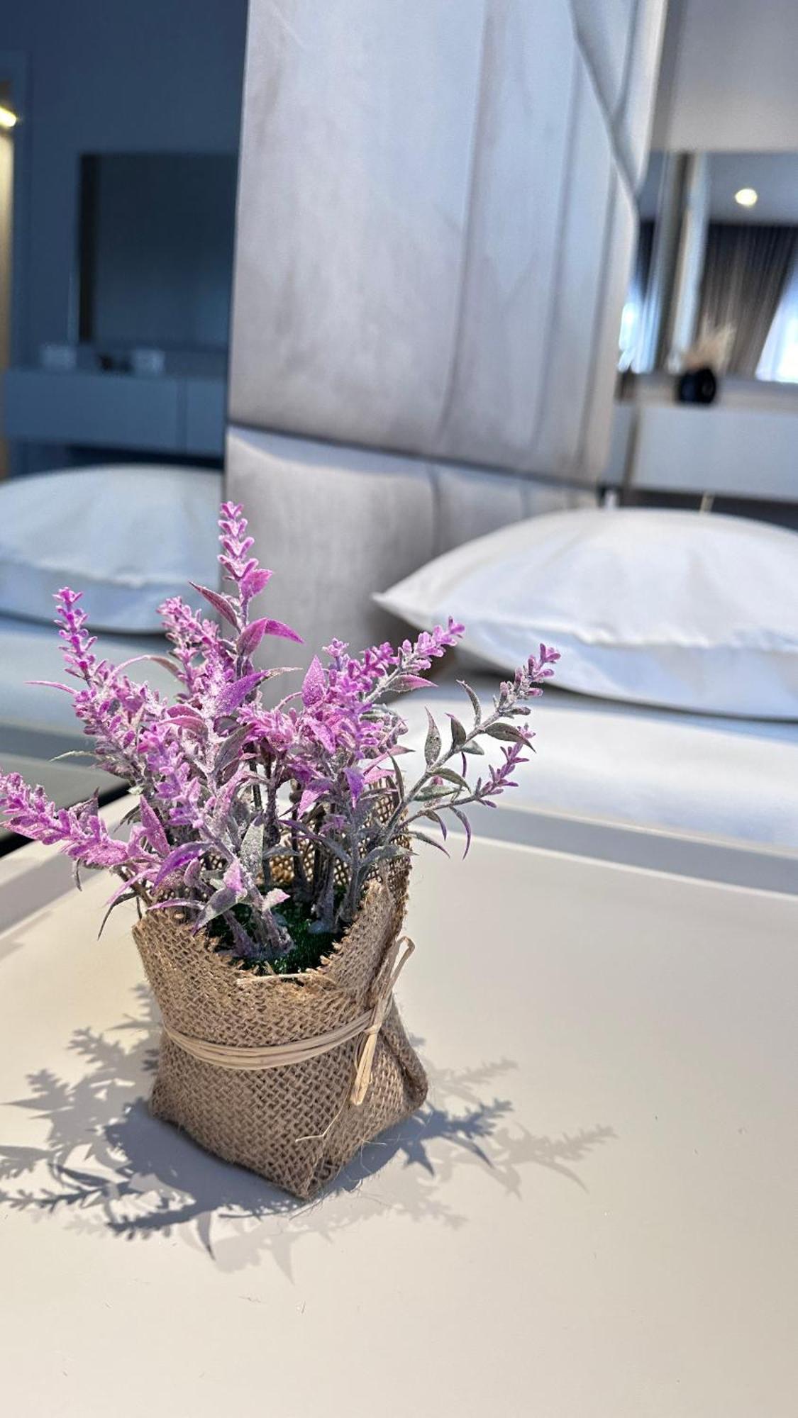 Frida Luxury Apartment تيرانا المظهر الخارجي الصورة